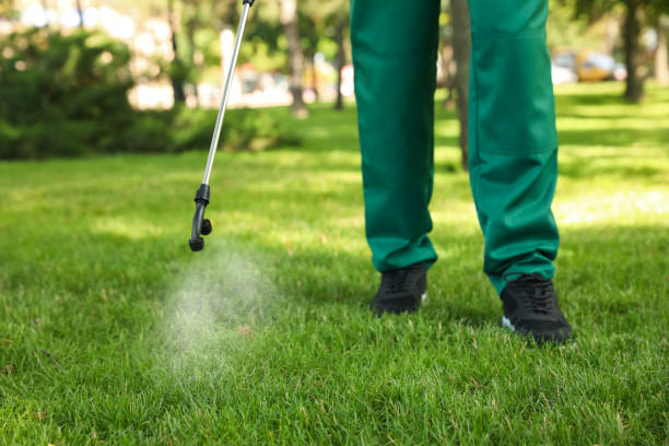 Best Emergency Pest Control  in Gillette, WY