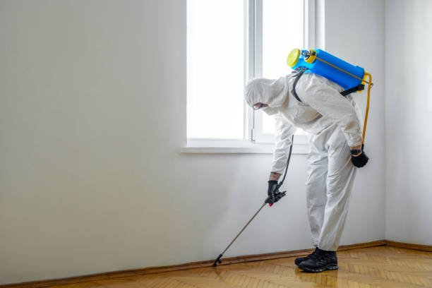 Reliable Gillette, WY Pest Control Solutions