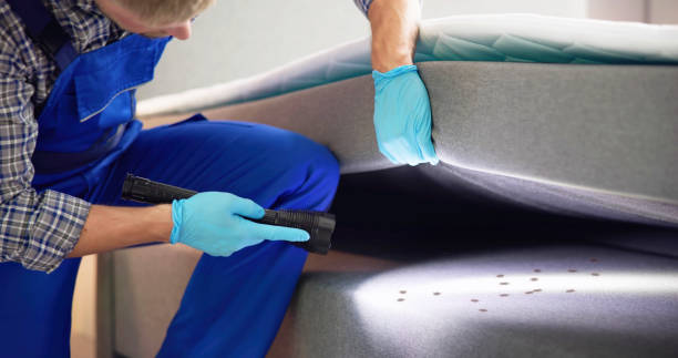 Best Pest Inspection Near Me  in Gillette, WY