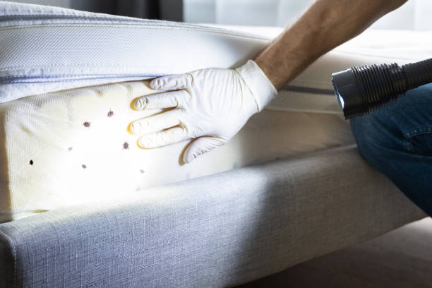 Best Best Pest Control Companies  in Gillette, WY