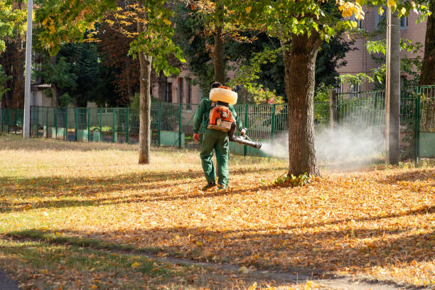 Best Pest Control for Businesses  in Gillette, WY